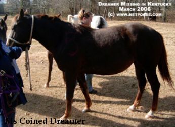 Ms Coined Dreamer